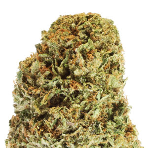 wholesale cbd flowers premium greenhouse bubbakush 2