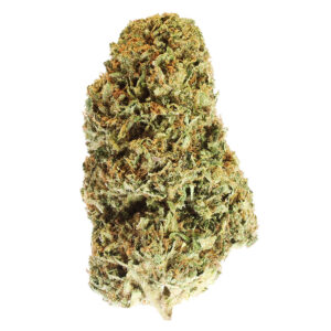 wholesale cbd flowers premium greenhouse bubbakush