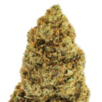 wholesale cbd flowers premium greenhouse durban poison 2