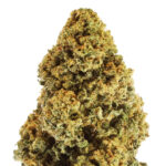 Fruit Cake Premium Green House CBD Flowers