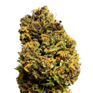 wholesale cbd flowers pink panther