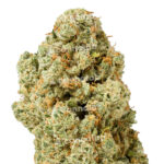 Royal Haze Premium Indoor CBD Flowers