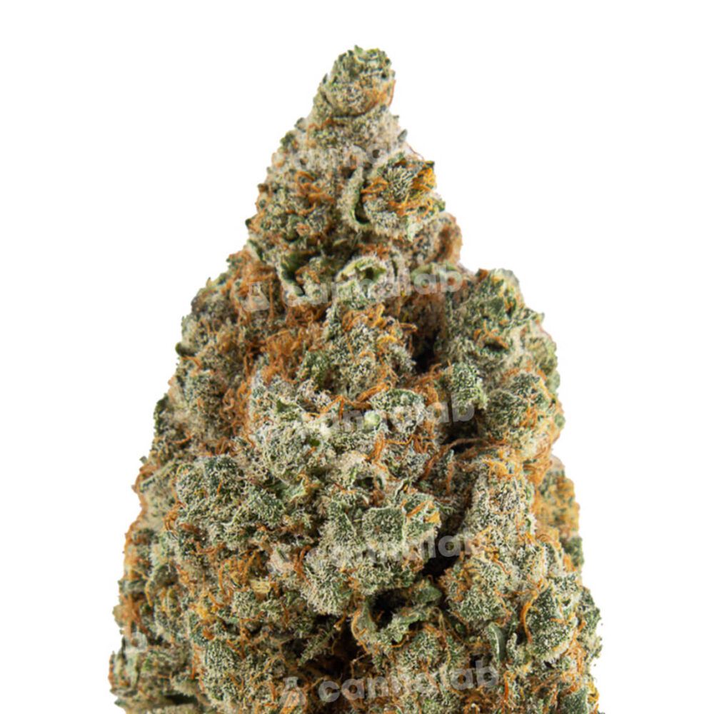 wholesale cbd flowers banana runtz 1