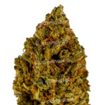 Sunset Sherbet Premium Indoor CBD Flowers