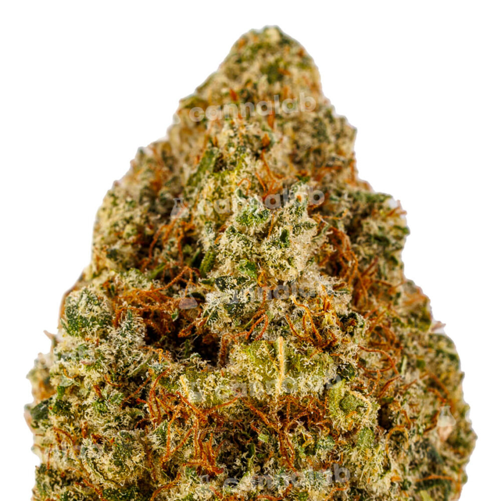 wholesale cbd flowers white fire og 2