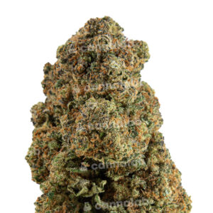 wholesale cbd flowers zushi 2