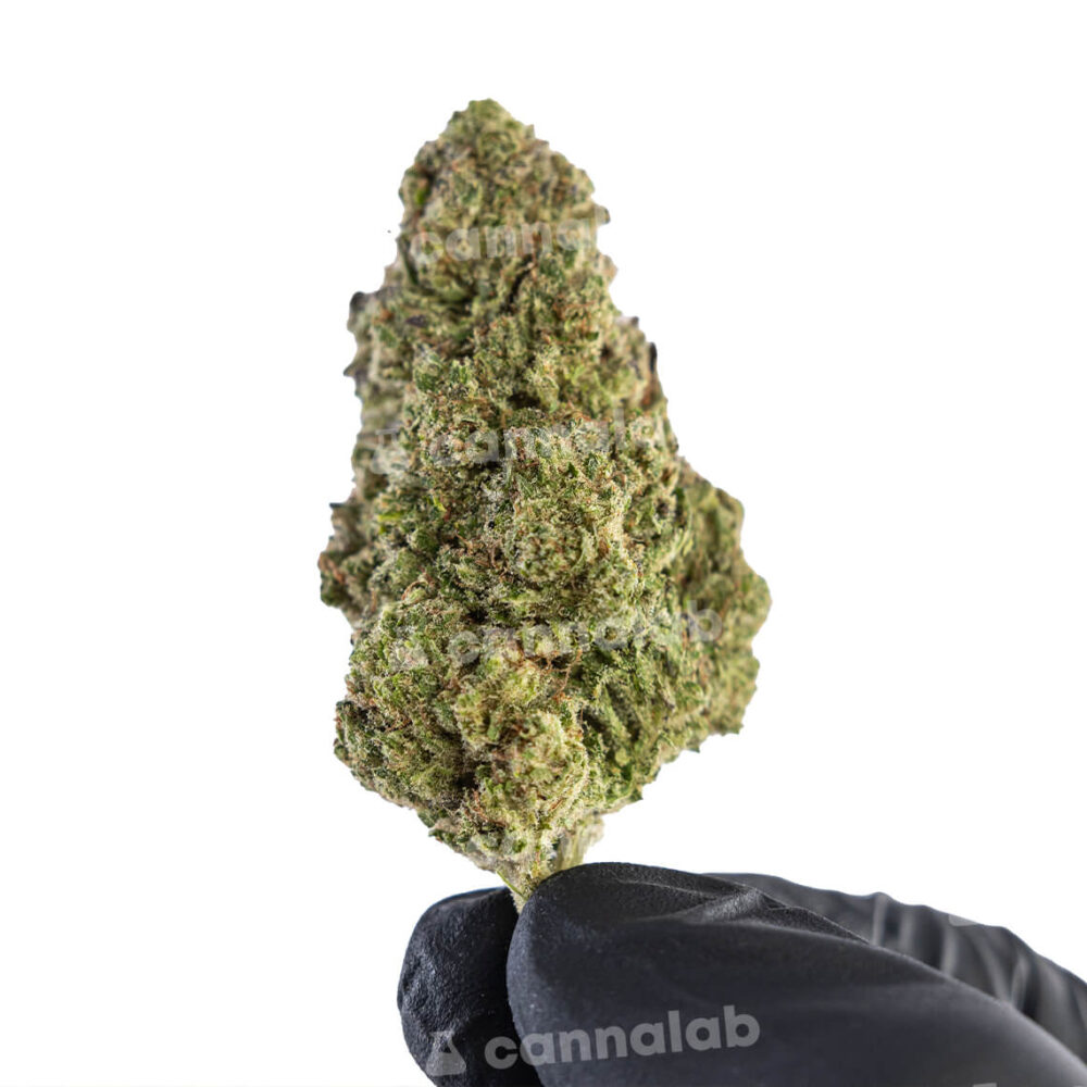 wholesale cbd flowers blue dream