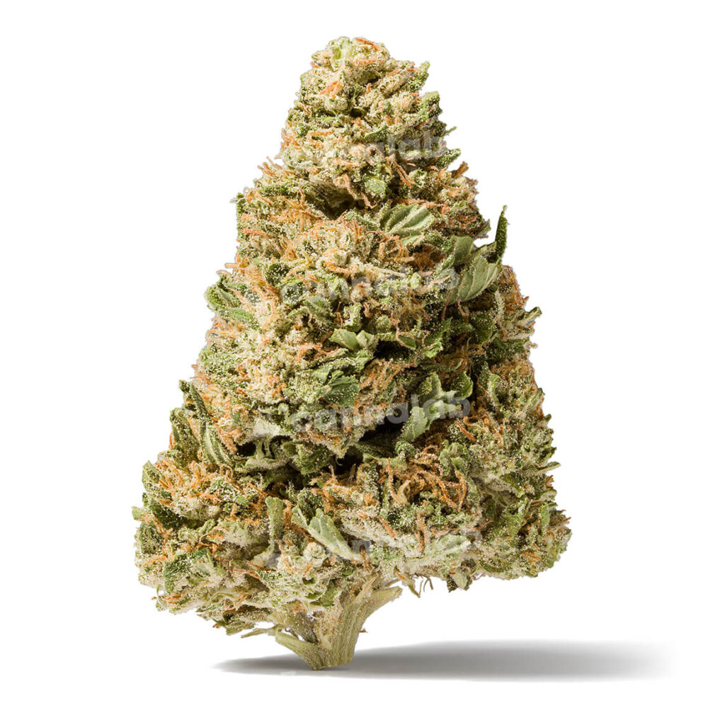 wholesale cannabis flowers lemon punch cbg 3