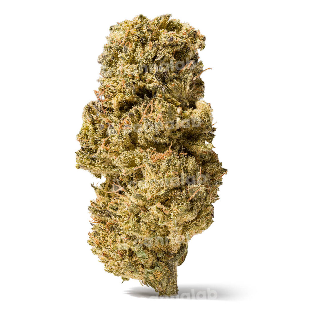 wholesale cannalab cbd flower blue dream