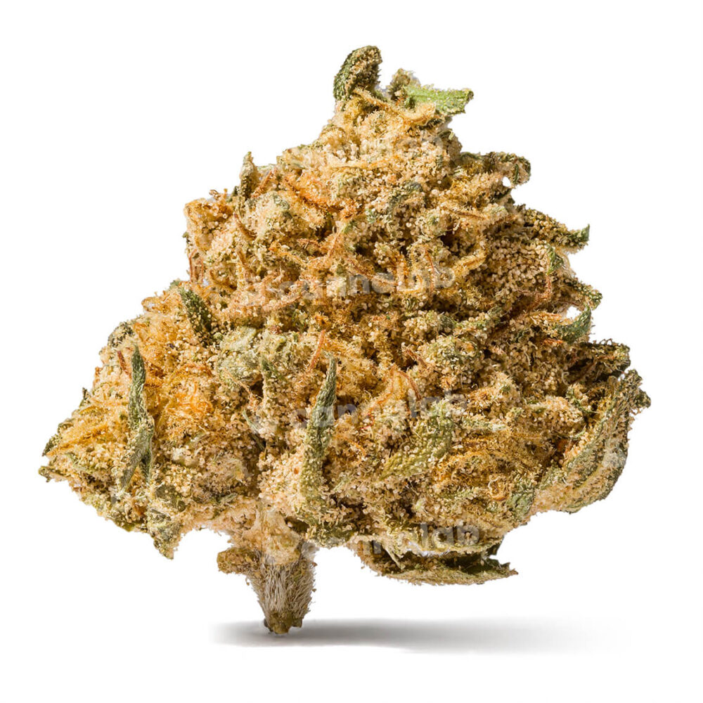 wholesale cbd flowers caviar 2