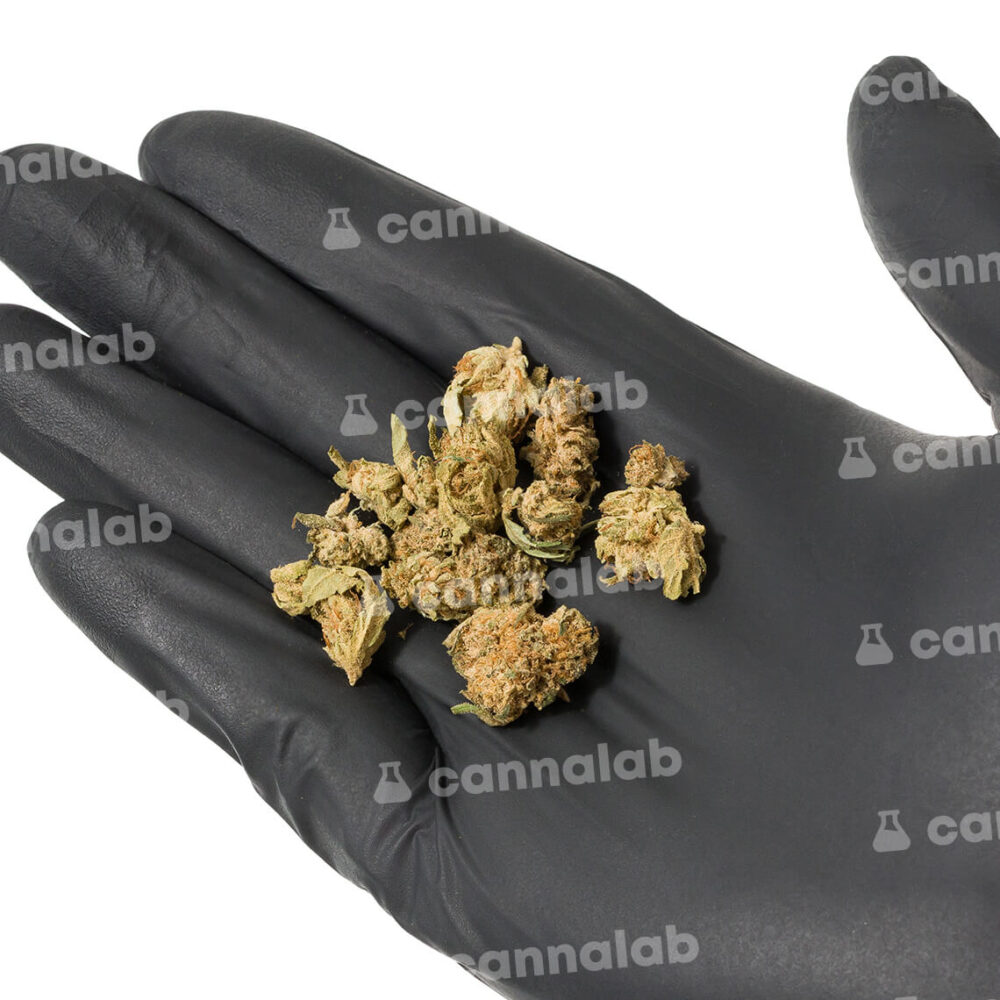 wholesale cbd flowers caviar 3