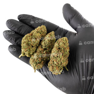 wholesale cbd flowers lemon cherry gelato 3