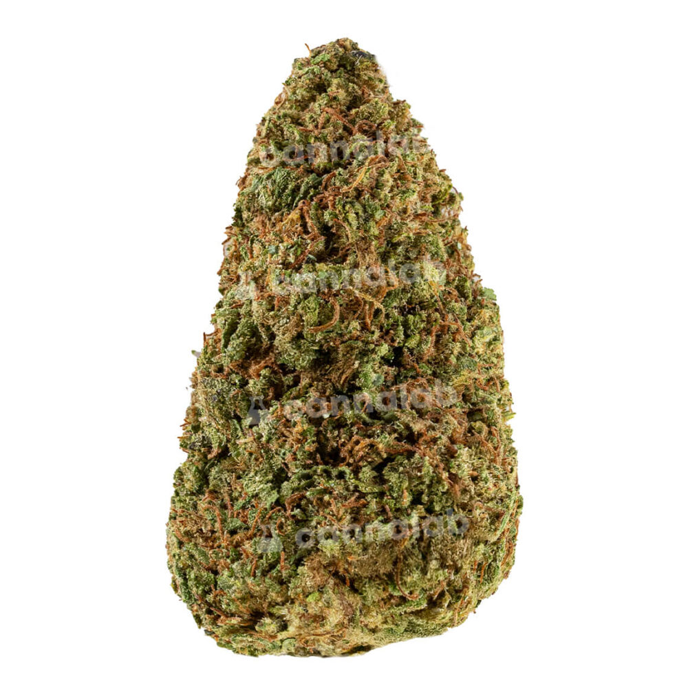 wholesale cbd flowers orange zkittlez 2