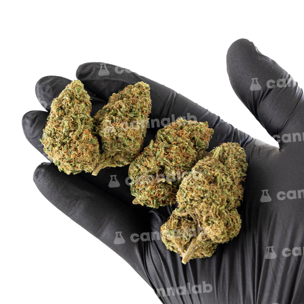 wholesale cbd flowers sour diesel 21