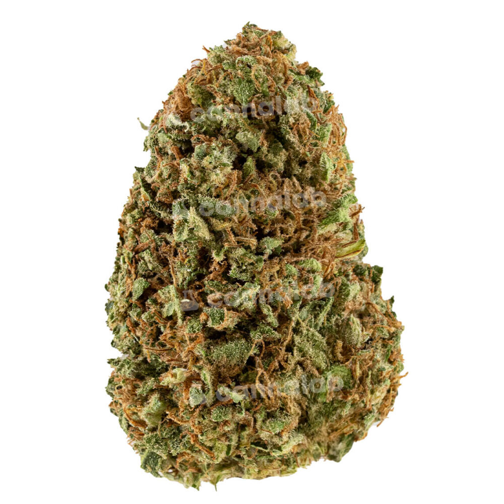 wholesale cbd flowers sour diesel1
