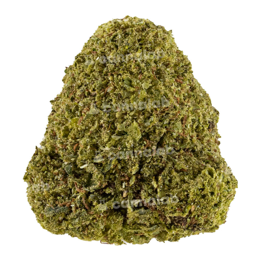 wholesale cbd flowers northern lights cryo 3