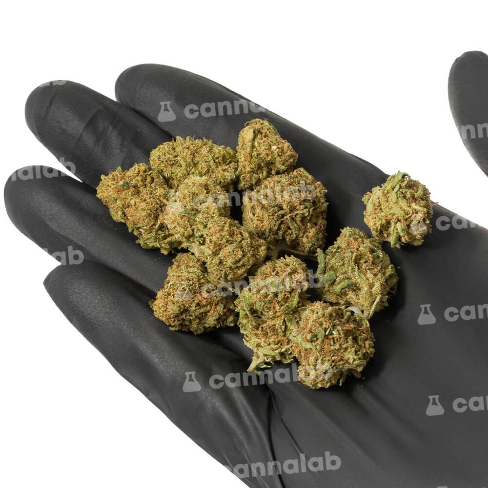 wholesale cbd flowers super silver haze popcorn 3