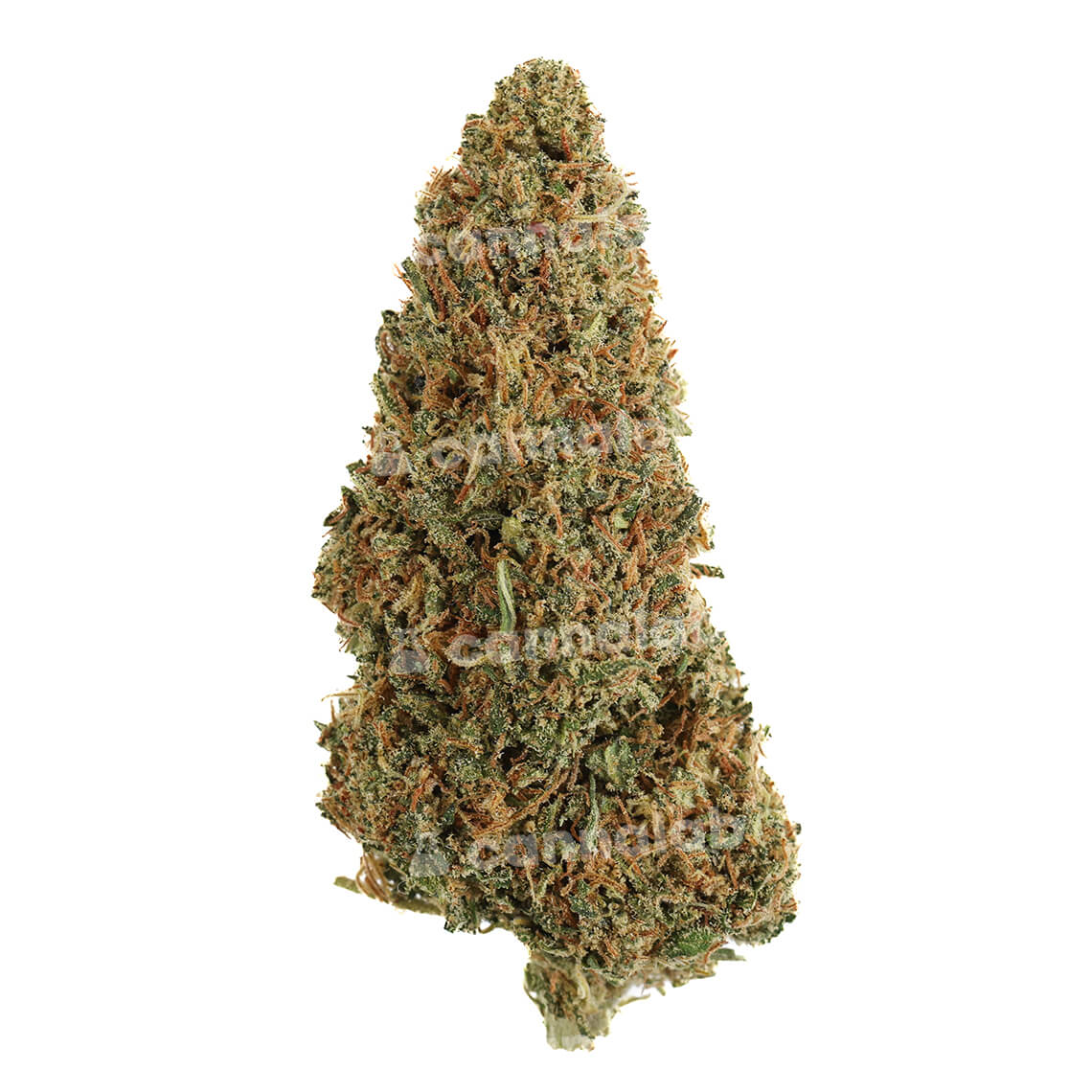 Orange Zkittles Premium Green House CBD Flowers